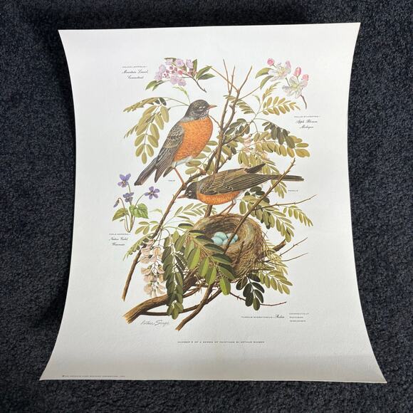 Arthur Singer Portfolio of Bird Prints Complete Set (8) - Vintage Botanical Art - Picture 6 of 16